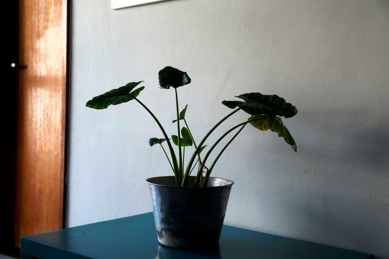 Bed and breakfast Leme - Copacabana